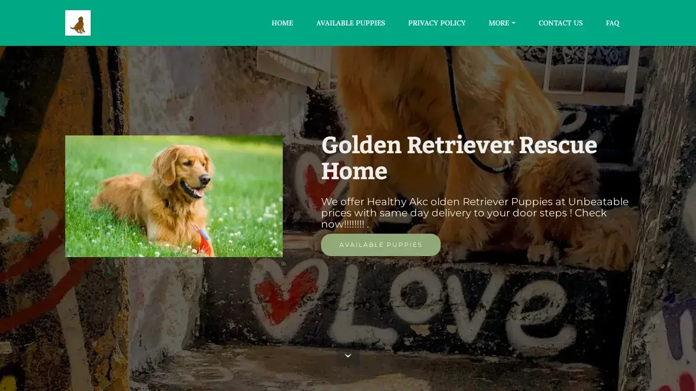 is HOME | Golden Retriever Rescue Home legit? screenshot