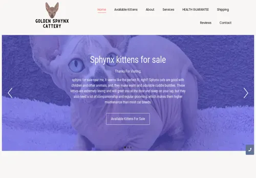 is goldensphynxcattery.com legit? screenshot