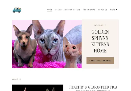 is goldensphynxkittenshome.com legit? screenshot