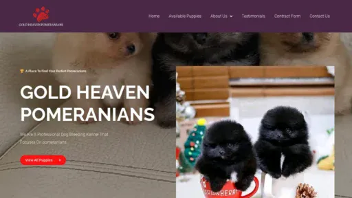 A screenshot of Goldheavenpomeranians.com