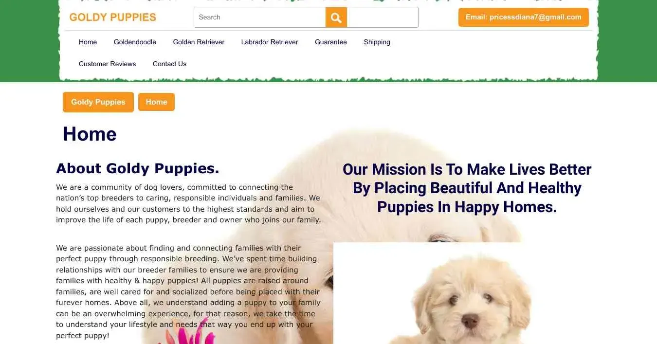 is goldypuppies.com legit? screenshot