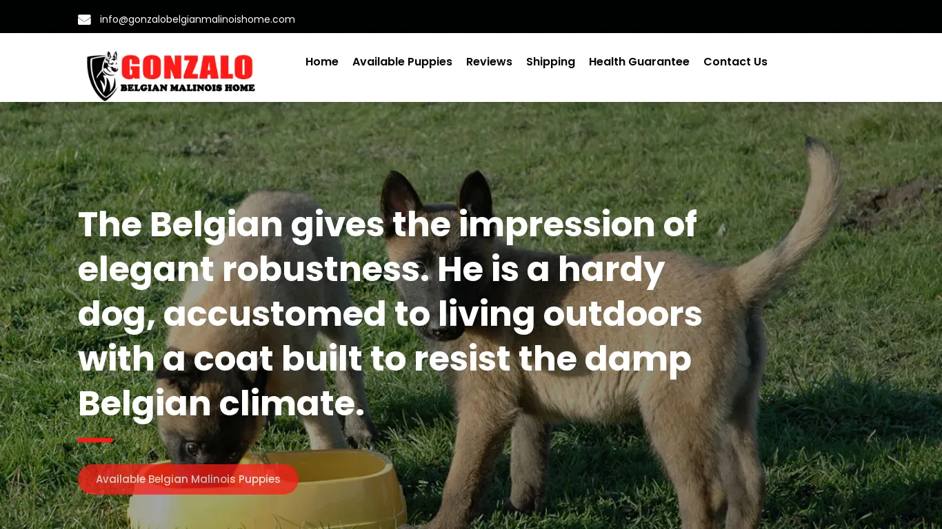 is gonzalobelgianmalinoishome.com legit? screenshot