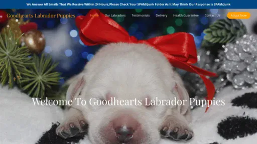 A screenshot of Goodheartslabradorpuppies.com