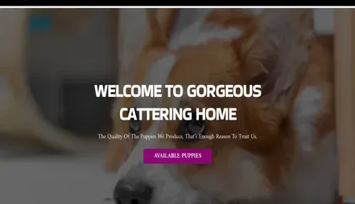A screenshot of Genlanfamilystbernard.com