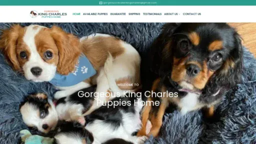 A screenshot of Gorgeouskingscharleshome.com