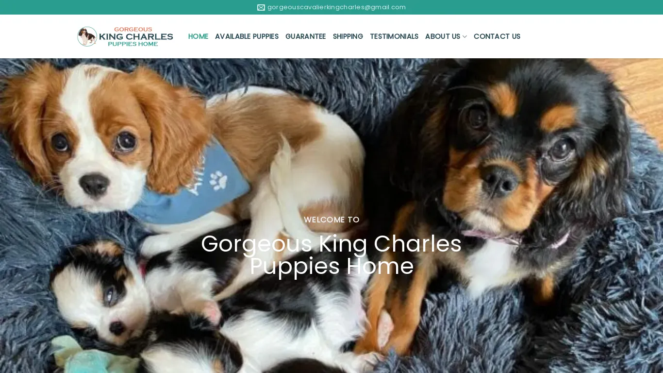 is gorgeouskingscharleshome.com legit? screenshot
