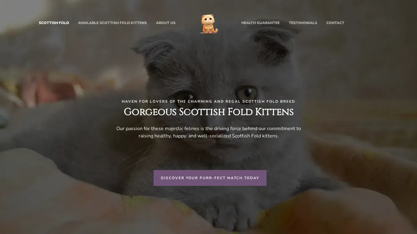 is Gorgeous Scottish Fold Kittens for sale - Cat Scottish Fold legit? screenshot