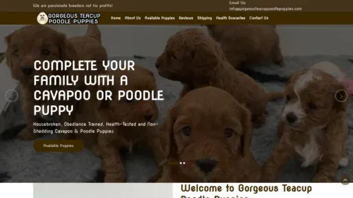 A screenshot of Gorgeousteacuppoodlepuppies.com