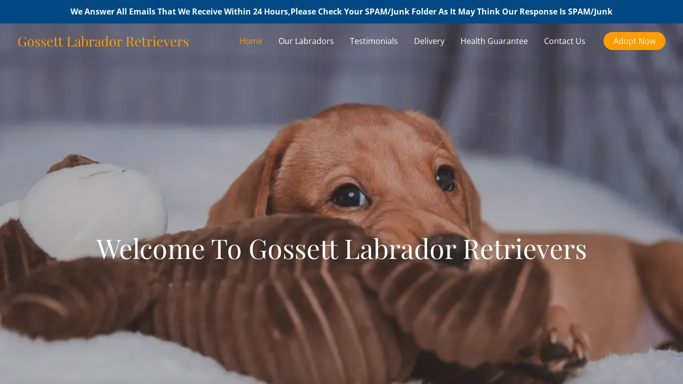 is gossettlabradorretrievers.com legit? screenshot