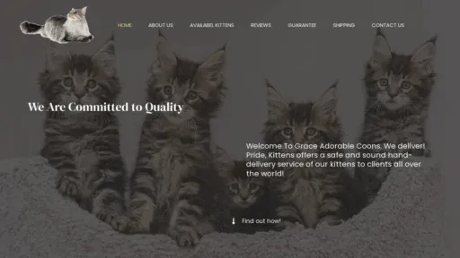A screenshot of Graceadorablecoons.com