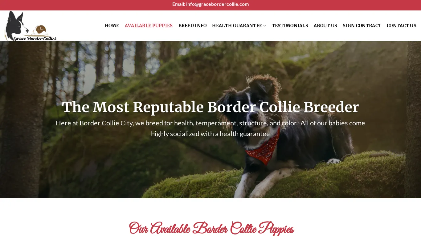 is gracebordercollie.com legit? screenshot