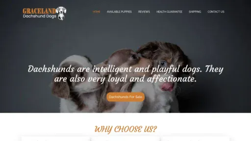 A screenshot of Gracelanddachshunddogs.com