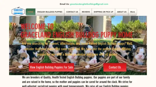 A screenshot of Gracelandenglishbulldogs.com