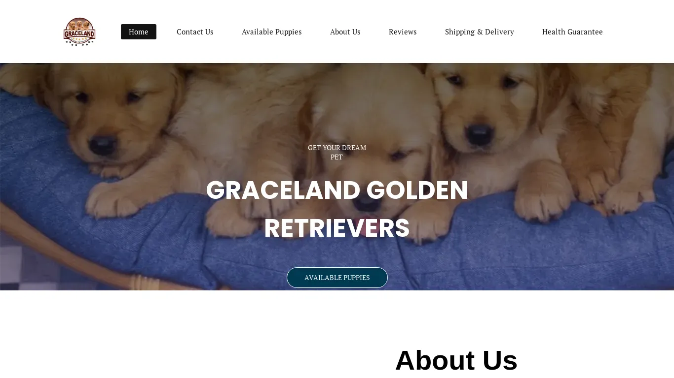 is gracelandgoldenretrievers.com legit? screenshot