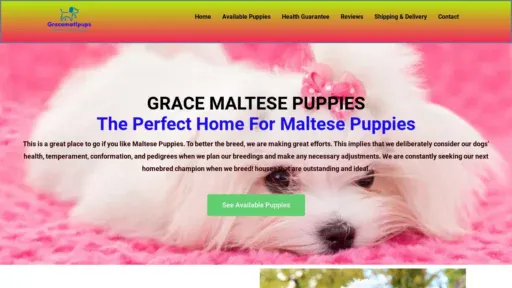 A screenshot of Gracemaltpups.com