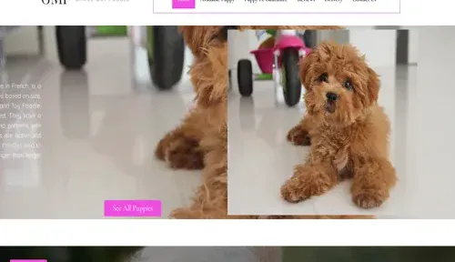 A screenshot of Genlanfamilystbernard.com