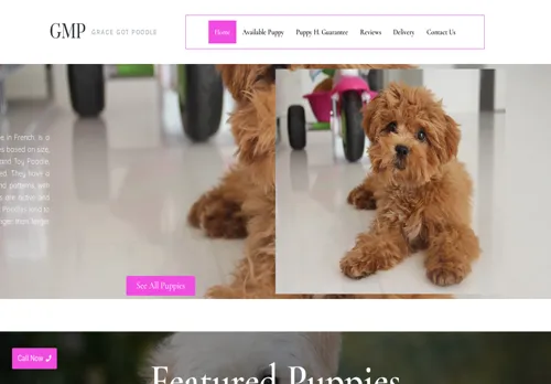is graceminipoodle.com legit? screenshot