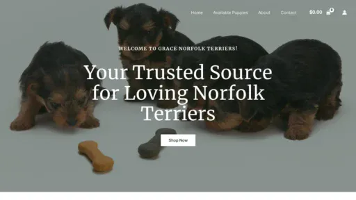 A screenshot of Gracenorfolkterriers.com