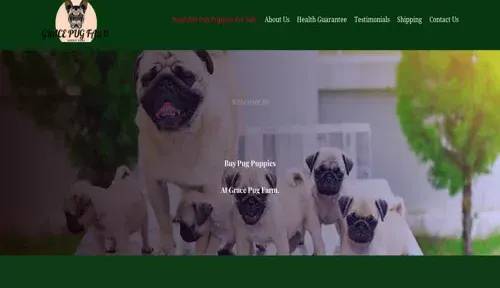 A screenshot of Genlanfamilystbernard.com