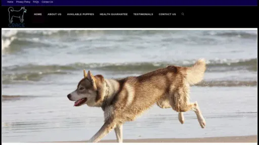 A screenshot of Gracesnowhuskies.com