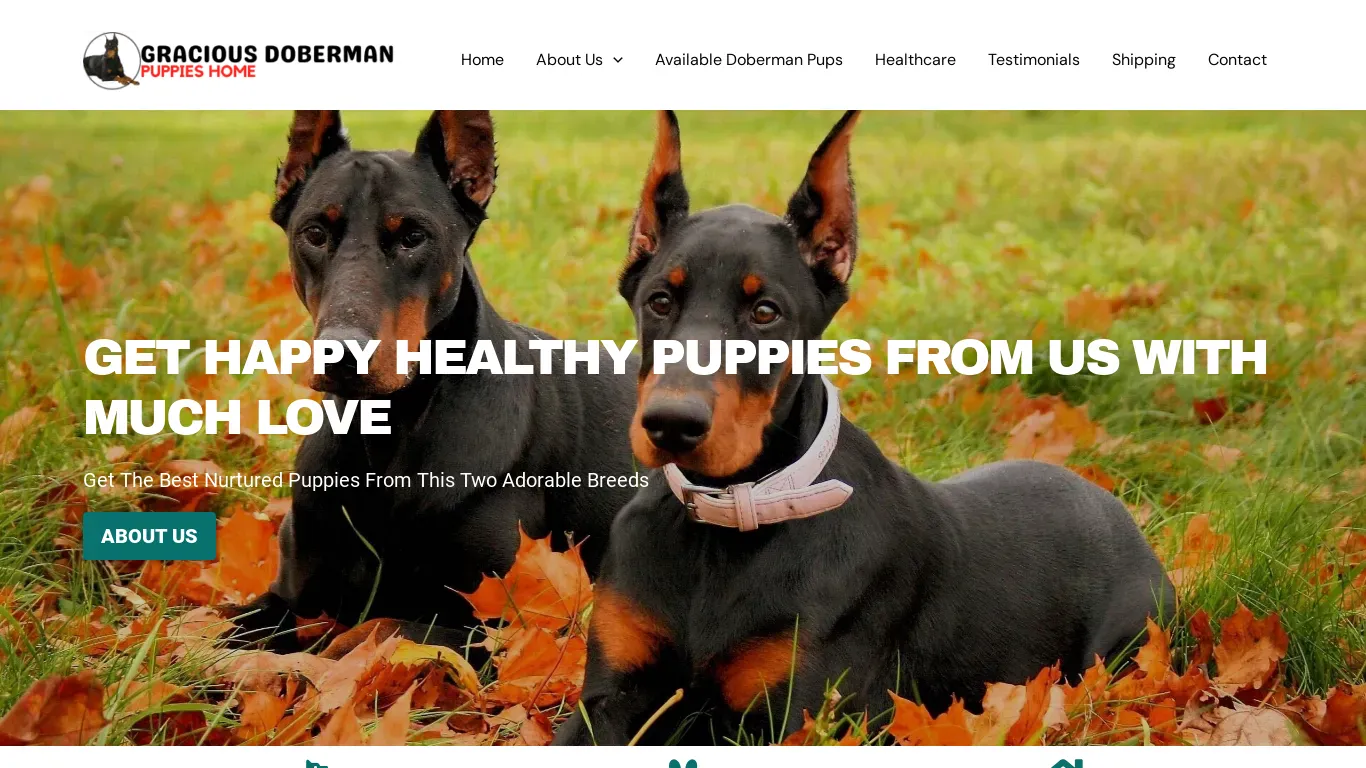 is graciousdobermanpuppieshome.com legit? screenshot