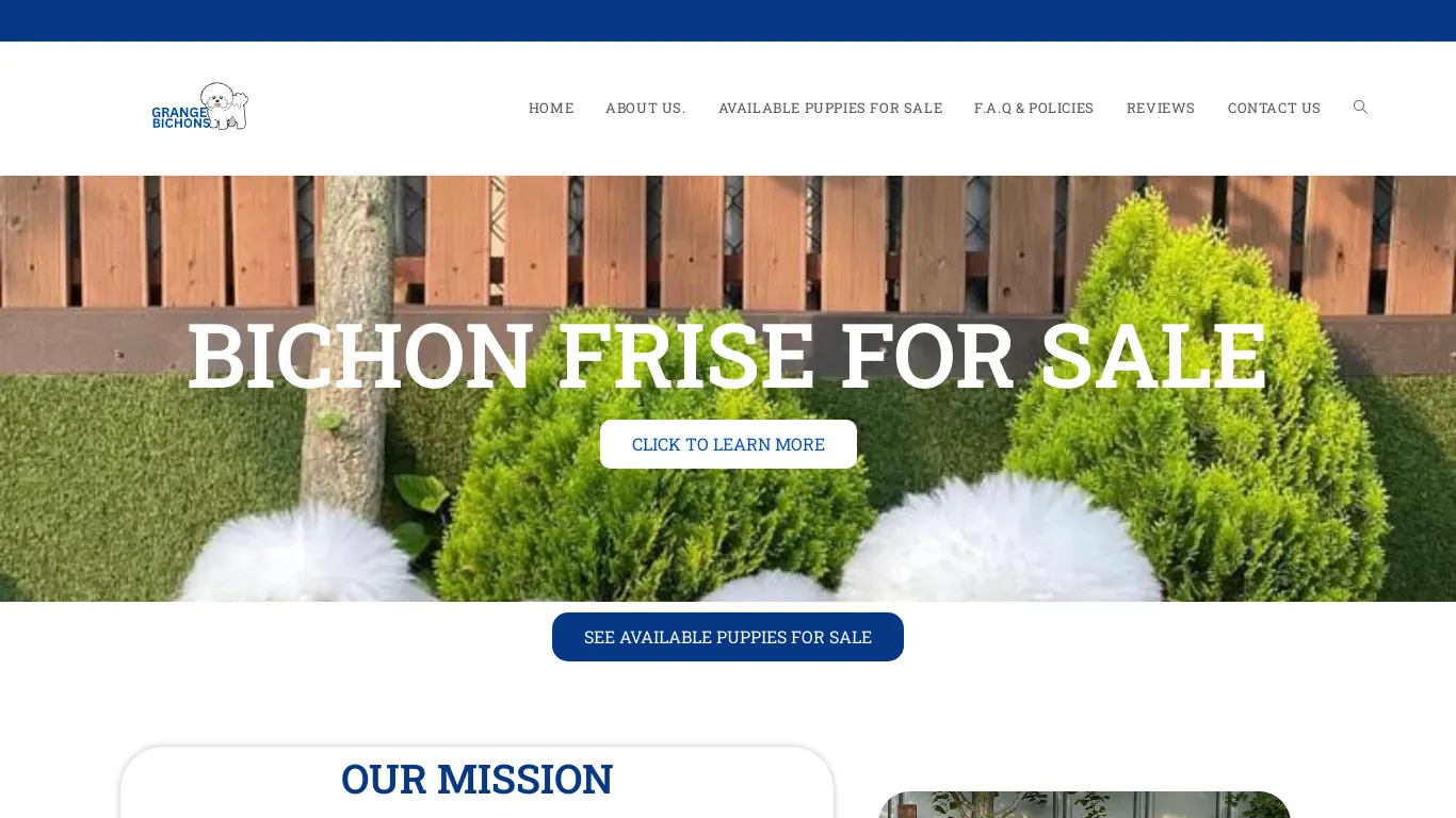 is Bichon Frise for sale | Bichon Puppies Available for Sale Now legit? screenshot