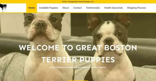 A screenshot of Genlanfamilystbernard.com