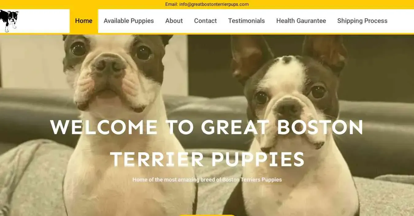 is greatbostonterrierpups.com legit? screenshot