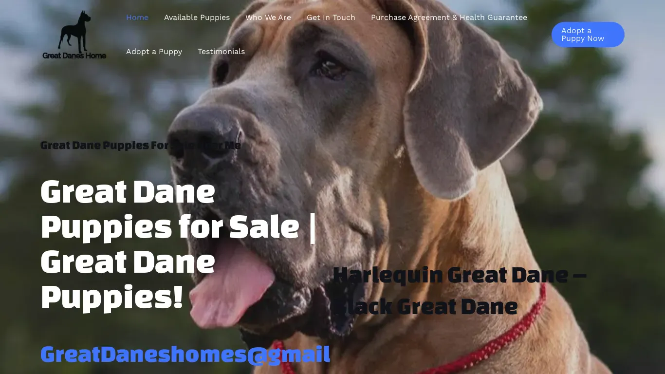 is greatdaneshome.com legit? screenshot