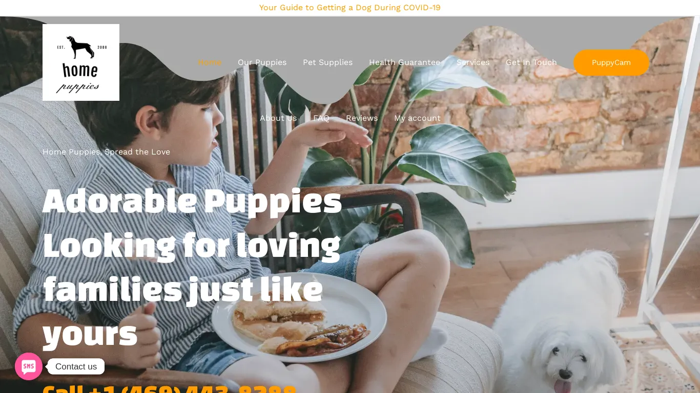 is greatmaltipoo.com legit? screenshot