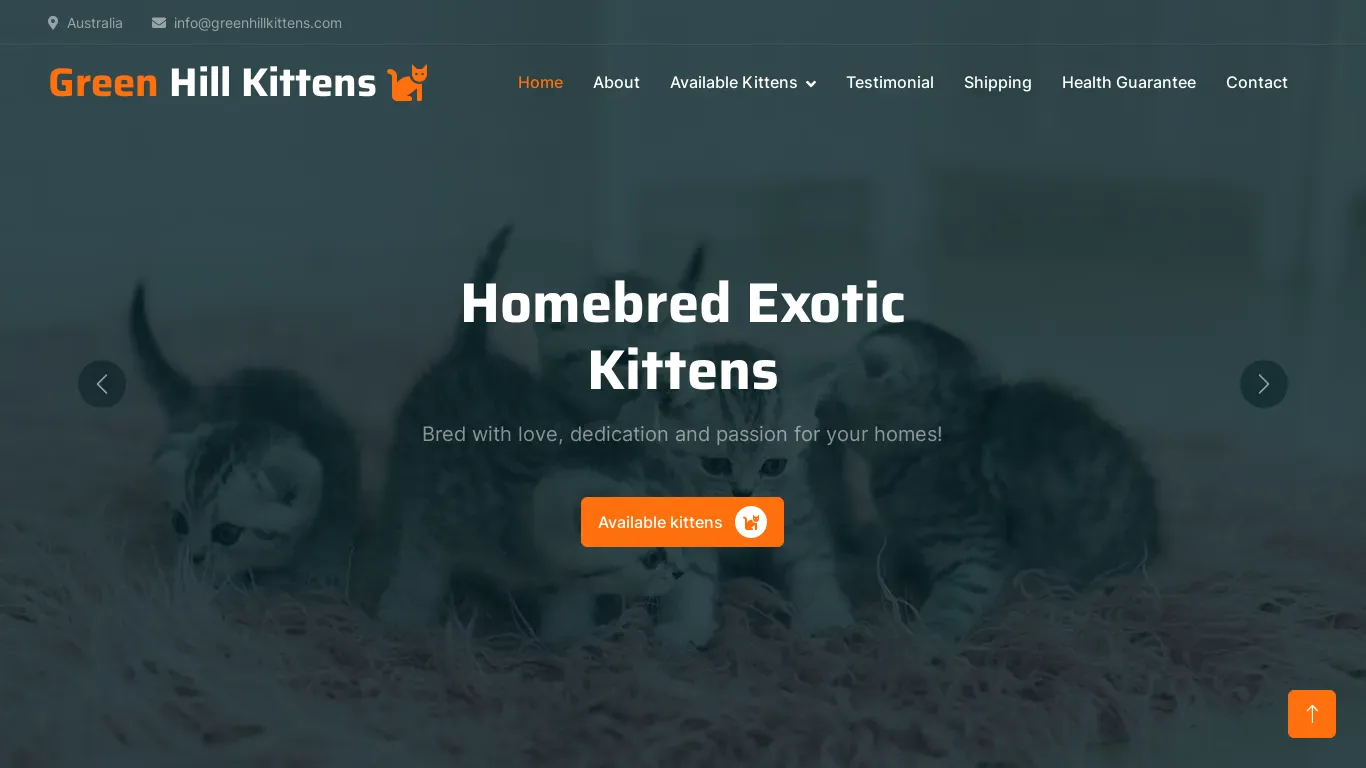 is greenhillkittens.com legit? screenshot
