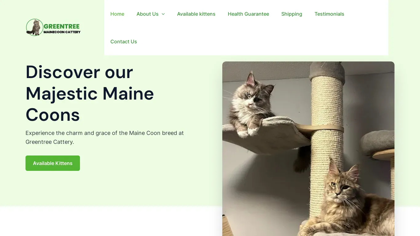 is Home - Greentree Maine Coon Cattery legit? screenshot