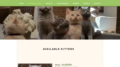 A screenshot of Greenvalleybritishshorthair.com