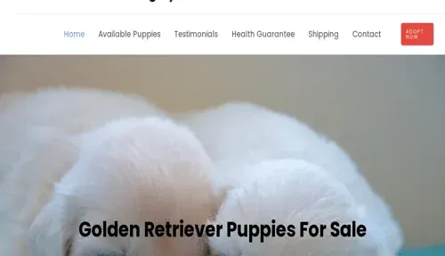 A screenshot of Genlanfamilystbernard.com