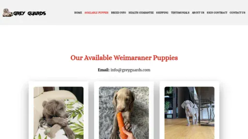 A screenshot of Greyguards.com