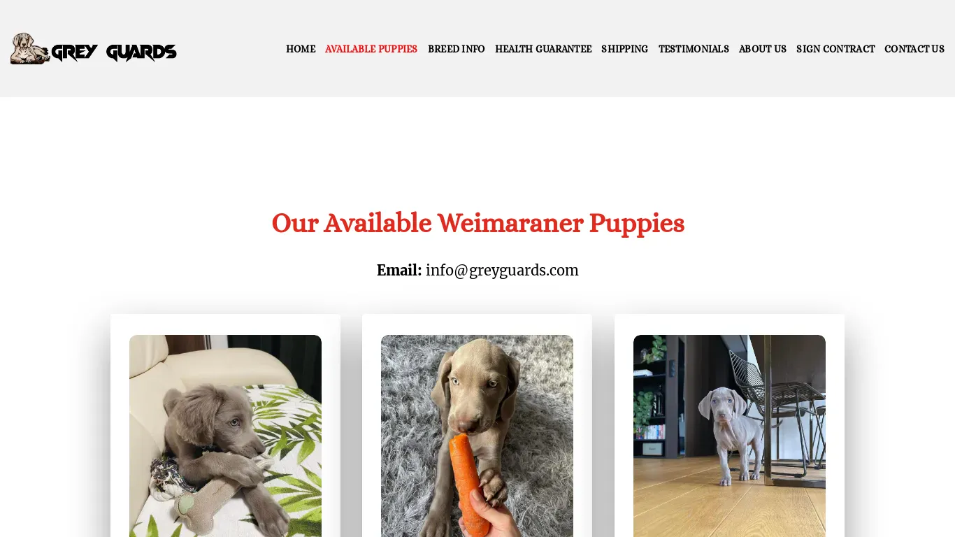 is greyguards.com legit? screenshot