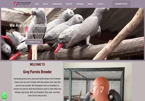 is greyparrotsbreeder.com legit? screenshot