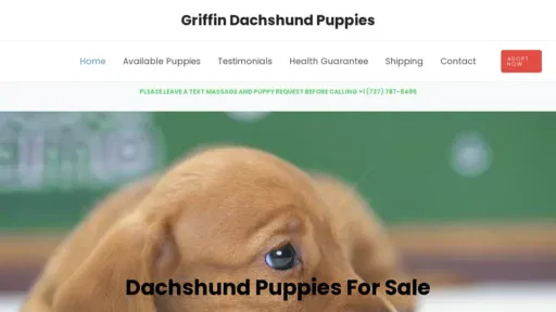 A screenshot of Griffindachshundpuppies.com