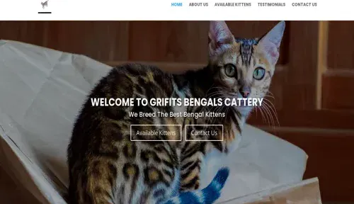 A screenshot of Genlanfamilystbernard.com