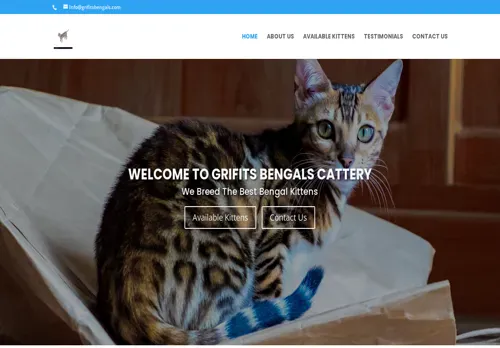 is grifitsbengals.com legit? screenshot