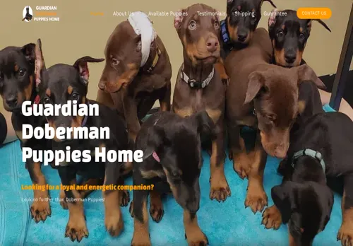is guardiandobermanpuppieshome.com legit? screenshot