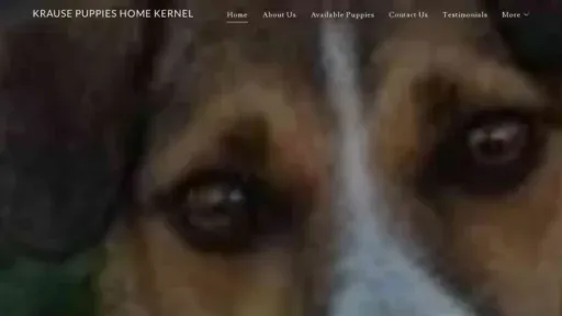 A screenshot of Genlanfamilystbernard.com
