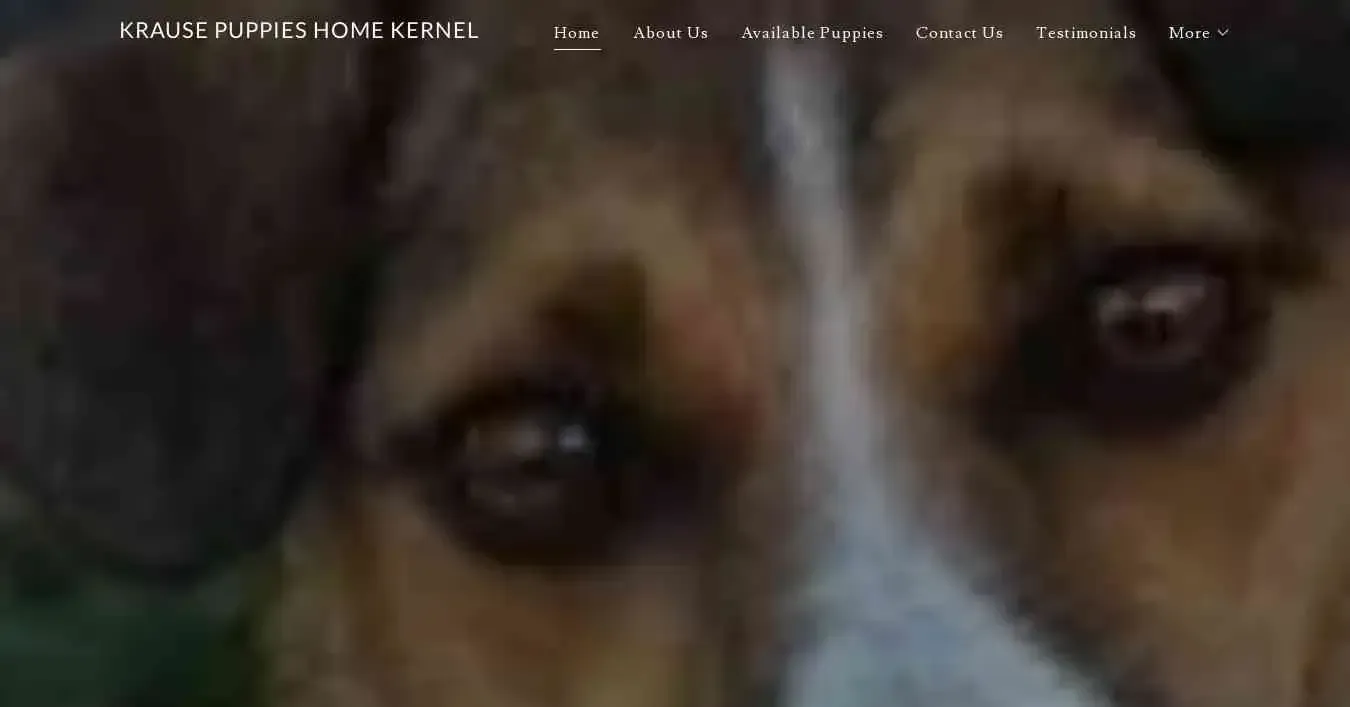 is guardianpuppieskennel.co.za legit? screenshot