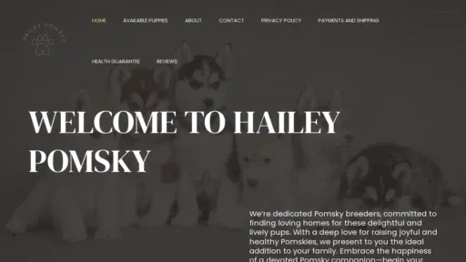 A screenshot of Haileypomsky.com