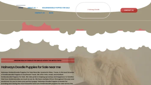 A screenshot of Hairwaysdoodle.com