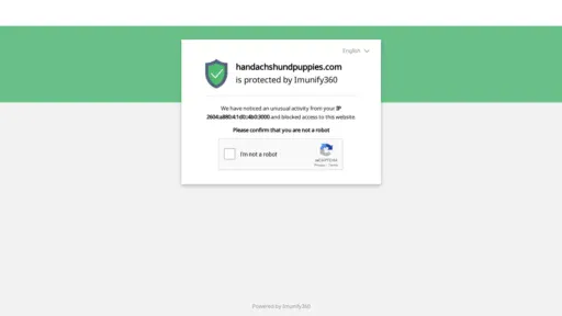 A screenshot of Handachshundpuppies.com