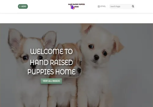 is handraisedpuppieshome.com legit? screenshot
