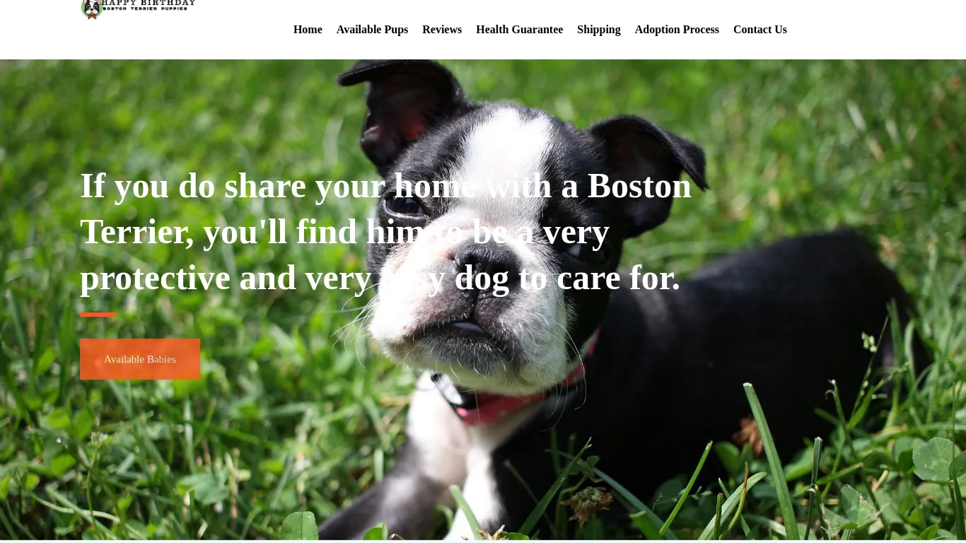 is happybirthdaybostonterriers.us legit? screenshot