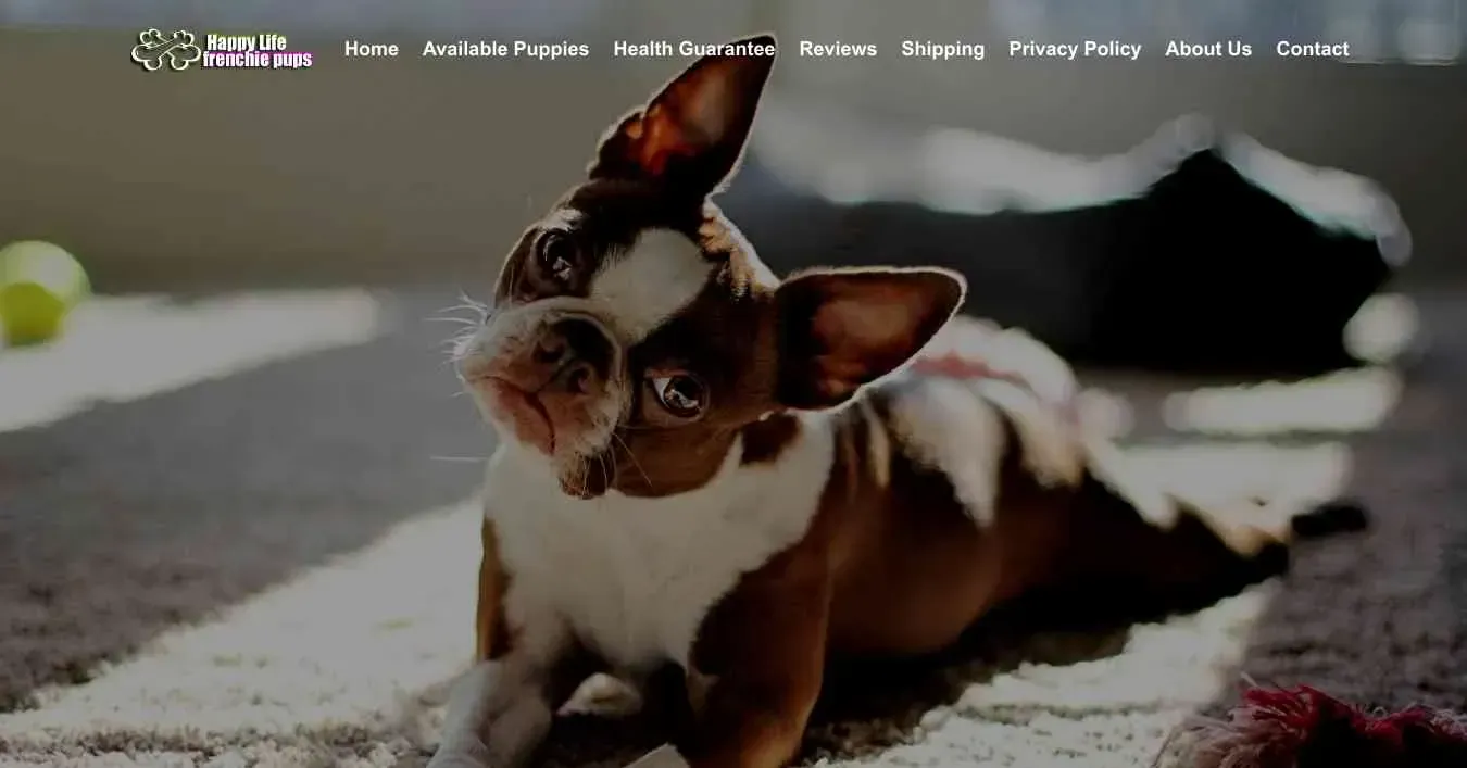 is happylifefrenchiepups.com legit? screenshot