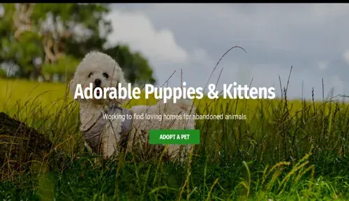 A screenshot of Genlanfamilystbernard.com